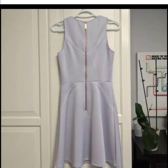 Ted Baker skater dress size 4 - Picture 5 of 7